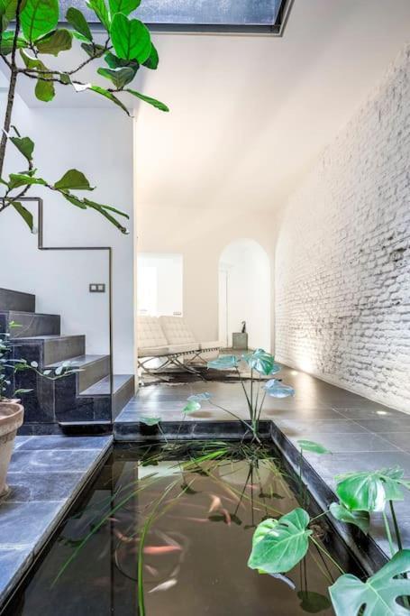 Exclusivo De Diseno Centro Matahacas Bajo Appartement *