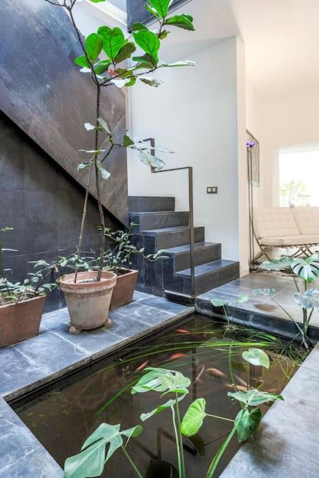 Appartement Exclusivo De Diseno Centro Matahacas Bajo